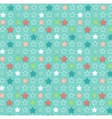 Dark Coral, Pastel Pink, Greens & White on Mint (Stars Of The Show)