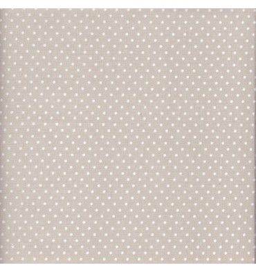 https://www.textilesfrancais.co.uk/730-thickbox_default/pearl-light-grey-dot-fabric.jpg