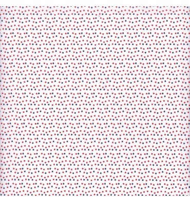 https://www.textilesfrancais.co.uk/929-thickbox_default/marine-dots-fabric-blue-red.jpg