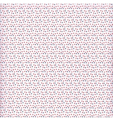 https://www.textilesfrancais.co.uk/929-thickbox_default/marine-dots-fabric-blue-red.jpg